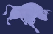 netbull-logo-1